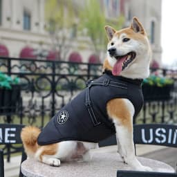 Waterproof Dog Jacket Vest with Reflective Harness Winter Pet Clothes for Small Medium Dogs Shiba Inu Doberman Outdoor Jackets