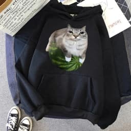 Cute Watermelon Cat Silly Cat Meme Printed Hoodies 90s Casual Sweatshirts Graphic Y2k Hooded Women's Gothic Streetwear Clothes