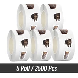 500pcs/roll Cartoon Meme Cat Stickers For School Reward Stickers Classroom Decoration Encouragement Sticker For Student Teacher