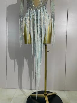 Sexy Mesh See Through Sparkly Rhinestone Tassel Long Sleeves Mini Dress 2026 Women Latin Dance Nightclub Party Club Stage Wear