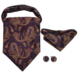 Hi-Tie Silk Mens Ascots Hanky Cufflinks Set Jacquard Paisley Floral Cravat Tie Self Vintage Ascot Black Gray Red Gold Pink Blue