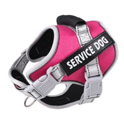 Personalized Name Dog Harness Adjustable Golden Retriever Labrador Dog Harness Reflective for Large Dogs Dog Walking Accessories