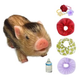 12cm Cute Mini Reborn Piglet Full Body Silicone Piglet Dolls With 3 Sets Mini Outfits for Each Bebe Reborn Smile Piglet