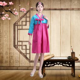 Embroidered Short Korean Traditional Costume Women's Dance Performance Clothes  Ethnic Group Large Long Jin Outfits