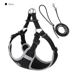 Cat Dog Harness Leash Set for Small Medium Dog Adjustable Pet Harness Reflective Breathable Outdoor Walking Pet Accessories