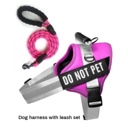 Nylon Reflective Dog Harness Personalized Breathable Dog Harness With ID Name Tag Pet Harness for Small Medium Large Dogs