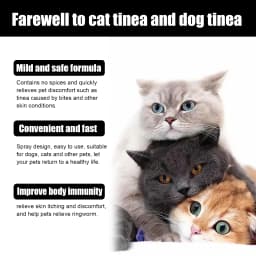 Cat Ringworm Spray - Mite Removal & Anti-Itch Pet Skin Care Topical Spray for Cats, Fungal Infection Relief, Itch Soothing