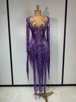 Women Sparkly Diamond Purple Tassel Long Sleeves Mesh See Through Dress Latin Dance Outfits Bar Nightclub Party Club Stage Wear