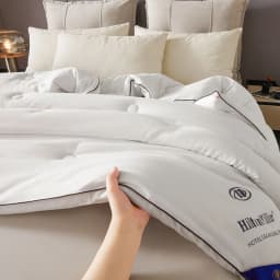 Hotel Style Comforter Queen King Lightweight Fluffy Comfortable and Breathable Soft Winter Quilt Very Warm 220x240 Quilts Blanke