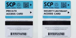 High Quantity Text Clear Letters Printed PVC SCP Hard Card Patches,top Hardboard,hardcard 8.5*5.5CM WF23461