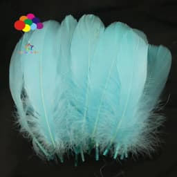 100PCS Soft Goose Feathers 5-7 Inch/13-18cm For Wedding Party Decoration Carnival Diy Facinator