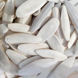 Natural Cuttlebone Chew Toy 1pc for Parrots Budgies Hamsters Small Pets Teeth Grinding Calcium Supplement Bird Supplies Healthy