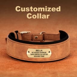 Customized Engraved Dog Collar Wide Leather Dog Collar Large Soft Padded Pet Dog Collars For Medium Large Dogs Free Engraving
