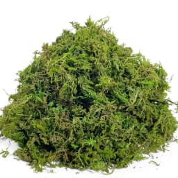 Artificial Fake Moss, Craft Moss for Potted Plant Centerpieces Decor