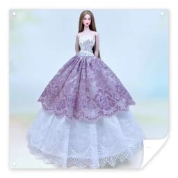 case for 30cm doll clothes Princess dress