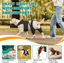 Dog Knee Brace for Torn ACL Hind Leg, Puppy Leg Brace Helps Reduce Pain from Torn CCL, Luxating Patella, Ligament, Hip Dysplasia