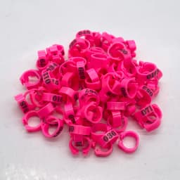 100 Pcs/set Inner Diameter 8mm Pigeon Leg Poultry Dove Bird Parrot Clip Rings Band Foot Ring Pigeon Supplies Bird Appliances