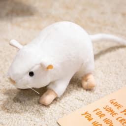 1Pc Kawaii Mini Mouse Plush Toys Stuffed Soft Animal Mouse Pillow Cute Simulation Rat Dolls for Birthday Christmas Gift