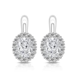 Exquisite Ice Flower-Cut Pigeon Egg 925 Sterling Silver Earrings with High-Carat Diamond Egg-Shaped Earrings for Ladies' Jewelry