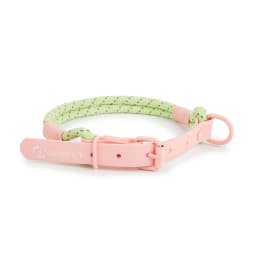 Pet Supplies Dog Collar For Small and Medium Dog Walking Sugar Color Series Cute Style PVC Webbing Collar Leashes Set New Arriva