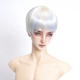 New 1/6 1/4 1/3 Doll's Wig for 30/45/60cm Bjd Doll Soft Silk Short Hair Girl Toys Dress Up Play House Doll Accessories, No Doll