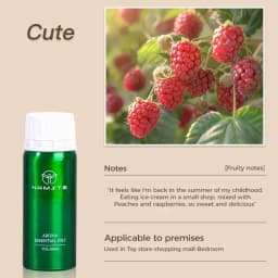 NAMSTE Floral Essential Oil Aroma Diffuser Room Air Freshener Aromatic Oil Premium Hot Selling 500ML Fragrant Oils Home Hotel