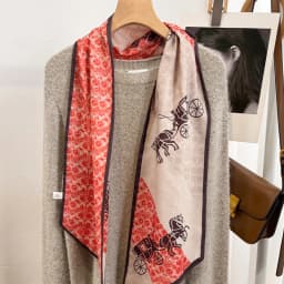 Silk Velvet Printed Scarf Women's Versatile Long Stripe Elegance Carriage Neck Protection Thin Style Spring Autumn Scarf Shawl