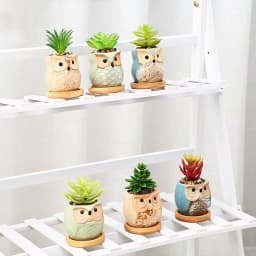 Flower Pots Creative Ceramic Mini Flowerpot Succulent Planter Cute Owl Plants Flower   Pot With Hole Garden Home Office Decor