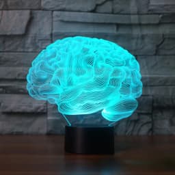 Nighdn 3D Brain Night Light 7 Colors Changing USB Touch Decor Lamp Optical Illusion Lamp Children Kids Christmas Birthday Gifts