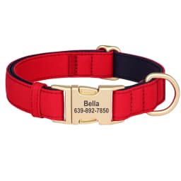 Personalized Dog Collar Waterproof Nylon Dog Collars Soft Padded Pet Necklace Free Engraved for Small Medium Large Dogs Pitbull