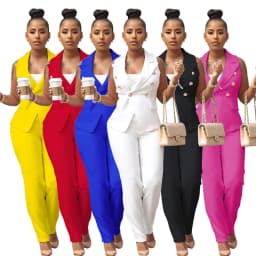 Business Work Wear Two Piece Pant Suits for Women Sets Elegant Sleeveless Blazer Top and Pencil Pants Office Lady Matching Sets