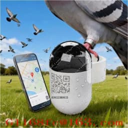Mini Real-Time GPS Locator Waterproof Pigeon Ring 4G Network GSM Android IOS Trajectory Locator Made Durable Plastic LBS