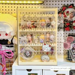 Earring Key Holder Storage Rack Slide out Pendant Jewelry Display Box Bracelet Hook Anti-Tangle Ring Stand Nordic Style Plastic