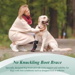 Drop Foot Brace with Reel for Dog - Corrective Dog Shoe to Safely Lift Toes for Paws Issues,Reliable Paw Protector For Dogs