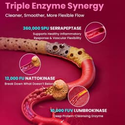 Nattokinase Capsules, with Serrapeptase, Lumbrokinase, Support Inflammation Reduction, Digestion & Circulation for Daily Use