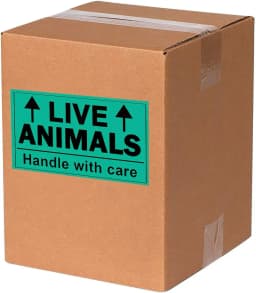 Remarkable Live Animals Please Handle with Care Stickers,2 X 3 Inch Fluorescent Fragile Shipping Label Stickers for Shipping and