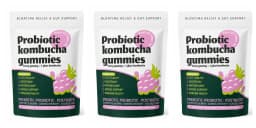 Probiotic Kombucha Gummies Every Gummy 1 Glass Kombucha Prebiotic Postbiotic Digestive Gut Health Vegan Berry Bliss 30 Gummies