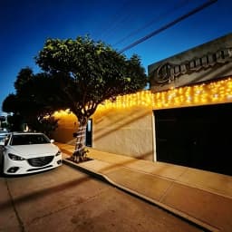 Christmas Decorations 2026 Festoon Led Fairy Lights Starry Style Outdoor(Warm White+Cool White Strobe) 28M(W)*0.4/0.5/0.6M(H)