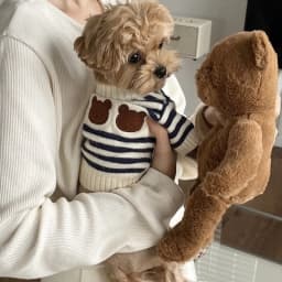 Dog Sweaters for Small Dogs Cute Bear Cardigan Pet Coat Autumn Winter Striped Puppy Clothes Dog Warm Knitted Jacket Dog Pullover