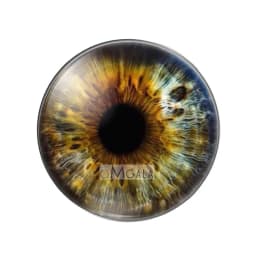 glass eyes cabochons Round 8MM-30MM Round Dome Dragon Eye Dragon Cat Eye Toys DIY Jewelry Accessory MIX Pupil Eye Cameo