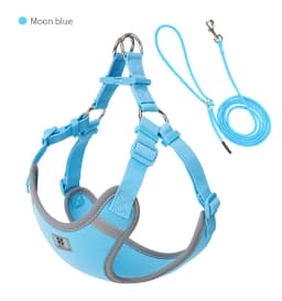 Cat Dog Harness Leash Set for Small Medium Dog Adjustable Pet Harness Reflective Breathable Outdoor Walking Pet Accessories