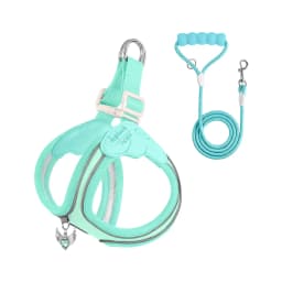 Eye Shape Dog Harness and Leash Set for Small Dogs,Cute Fashion Puppy Walking Vest, Reflective Adjustable Pet Harness for Daily