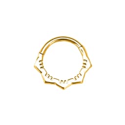 Flower Moon Heart Tush Teardrop Septum Piercing Drop Clicker Segment Nose Ring Daith Conch Hoop Earring 316L Surgical Steel 16G