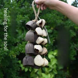 Nutshell Bell Hand Bell Meditation Sound Healing Handbell Natural Plant Indonesian Music Accompaniment Sound Therapy Instrument