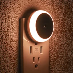 LED Night Light Plug in Dusk To Dawn Smart Sensor Auto Dim Into Wall Night Lamp for Bathroom Hallway Kitchen Stairway Bedroom