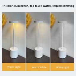 LED Table Lamp Hotel Wireless Rechargeable Desk Lamp Touch Switch Table Lamp Metal Retrolight for Bedroom Living Room Restaurant