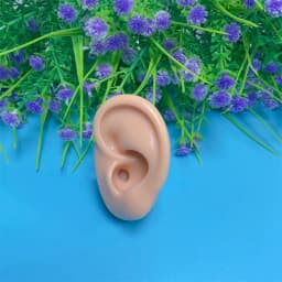 Earring Display Stand Ear Model Ear Clip Stud Jewelry Display Organizer Holder Window Counter Ear Stud Showcase Props