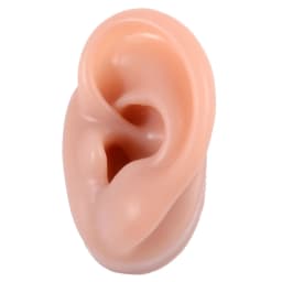 1PC Flexible Silicone Ear Model for Piercing Left and Right Human Ear Molds Jewelry With Exhibits Props