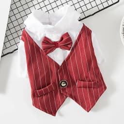 Classic Stripes Tuxedo for Small Dogs Cats Spring Autumn Pet Jacket with Bowknot Gentleman Dog Clothes Schnauzer French Bulldog
