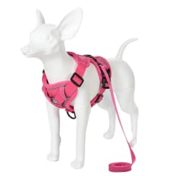 Breathable Dog Harness Vest Leash Set for Small Medium Pets Cats Reflective Adjustable Puppy Outdoor Chihuahua Bulldog Supplies